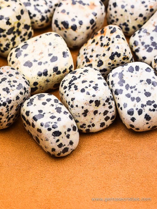 Jaspe Dalmata rolado
