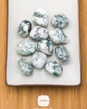 Pedra Ágata Árvore natural