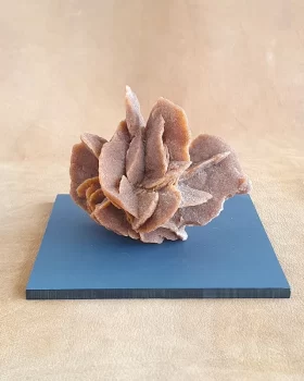 rosa do deserto pedra