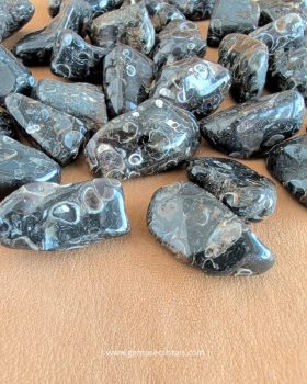 pedra ágata turritella rolada