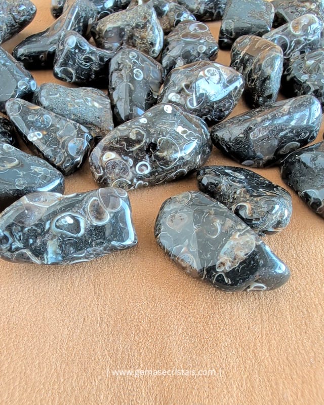 pedra ágata turritella rolada